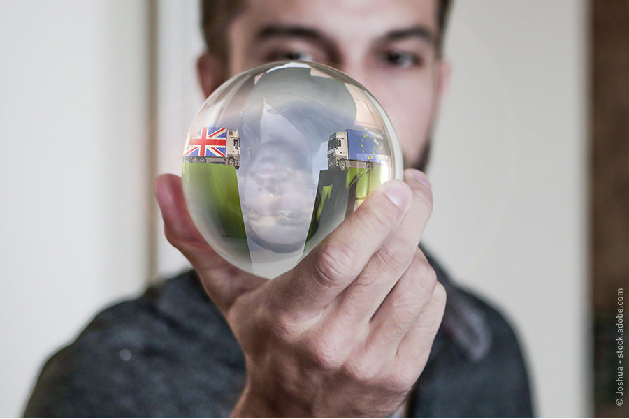Mladi muškarac gleda u kristalnu kuglu na svom dlanu. Ona prikazuje kamion s britanskom i kamion s europskom zastavom, a između
